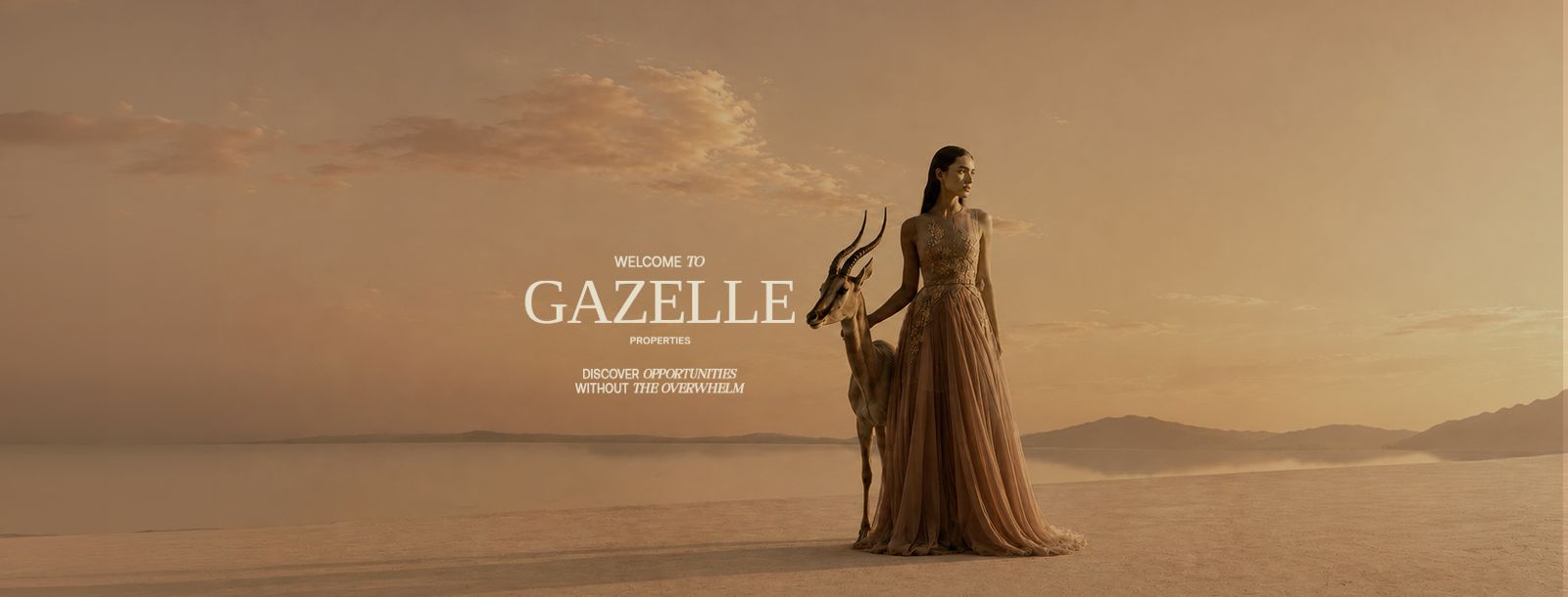 Gazelle projects hero